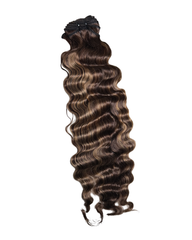 Burmese Curly